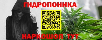 шишки Краснокаменск